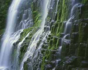 Images Dated 3rd September 2018: USA, Oregon, Willamette National Forest. Three Sisters Wilderness, Lower Proxy Falls