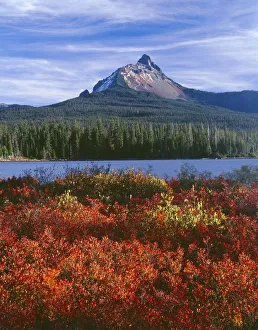USA, Oregon. Willamette National Forest, Mount Washington rises beyond autumn-colored huckleberry