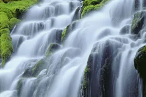 Images Dated 7th July 2017: USA, Oregon. Willamette National Forest