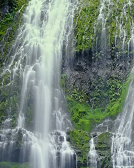 Images Dated 3rd September 2018: USA, Oregon. Willamette National Forest, Three Sisters Wilderness, Lower Proxy Falls