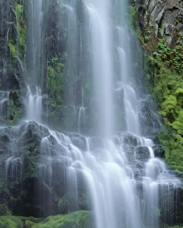 USA, Oregon. Willamette National Forest, Three Sisters Wilderness, Lower Proxy Falls and lush moss
