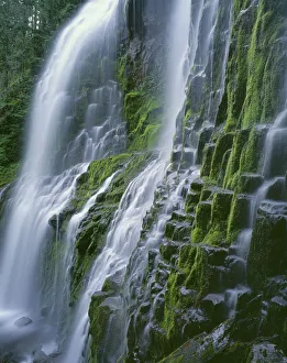 Images Dated 3rd September 2018: USA, Oregon. Willamette National Forest, Three Sisters Wilderness, Lower Proxy Falls