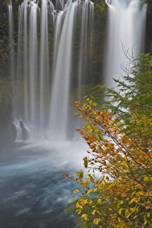 Images Dated 18th October 2008: USA, Oregon, Willamette National Forest. Koosah Falls pour into McKenzie River