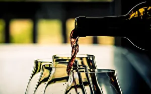Bottle Prints: USA, Oregon, Willamette Valley Dramatic pour of pinot noir in an Oregon winery