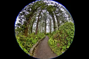 Cape Perpetua Prints: Usa, Oregon, Yachats. Cape Perpetua