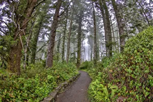 Images Dated 13th December 2021: Usa, Oregon, Yachats. Cape Perpetua