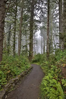 Images Dated 13th December 2021: Usa, Oregon, Yachats. Cape Perpetua
