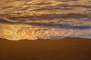 Shine Prints: USA, Oregon, Yachats, Sunset light shimmers on waves and wet, sandy beach
