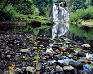 Images Dated 2nd September 2015: USA, Oregon, Youngs River Falls. Waterfall landscape