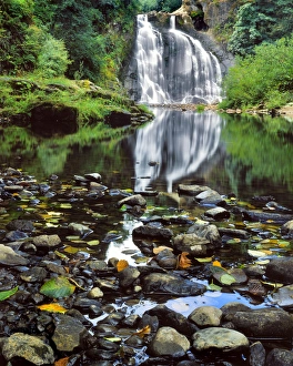 Images Dated 14th September 2015: USA, Oregon, Youngs River Falls. Waterfall landscape