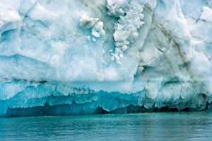 Images Dated 5th August 2010: USA, Pacific Northwest, Alaska, Glacier Bay National Park. Lamplugh Glacier