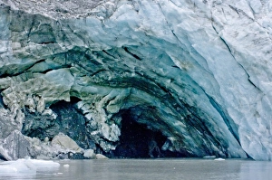 Images Dated 5th August 2010: USA, Pacific Northwest, Alaska, Glacier Bay National Park. Lamplugh Glacier