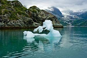 USA, Pacific Northwest, Alaska, Glacier Bay National Park. Ice sculptures floating in Glacier Bay