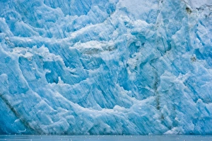 Images Dated 7th August 2010: USA, Pacific Northwest, Alaska, Glacier Bay National Park. McBride Glacier