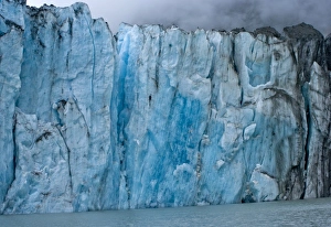 Images Dated 7th August 2010: USA, Pacific Northwest, Alaska, Glacier Bay National Park. McBride Glacier