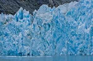 Images Dated 7th August 2010: USA, Pacific Northwest, Alaska, Glacier Bay National Park. McBride Glacier
