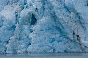 Images Dated 7th August 2010: USA, Pacific Northwest, Alaska, Glacier Bay National Park. McBride Glacier