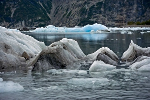 USA, Pacific Northwest, Alaska, Glacier Bay National Park. Floating ice in Muir Inlet