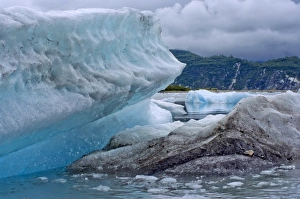 Images Dated 7th August 2010: USA, Pacific Northwest, Alaska, Glacier Bay National Park. Floating ice in Muir Inlet
