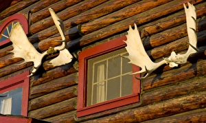 USA, Pacific Northwest, Alaska, Bettles Lodge, north of the Arctic Circle