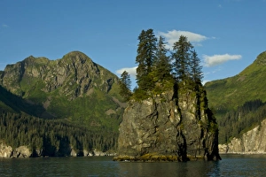 Images Dated 2nd September 2010: USA, Pacific Northwest, Alaska, Kenai Fjords National Park. Fantastic Spire Cove