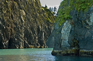 Images Dated 2nd September 2010: USA, Pacific Northwest, Alaska, Kenai Fjords National Park. Fantastic Spire Cove