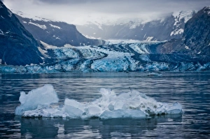 Images Dated 5th August 2010: USA, Pacific Northwest, Alaska, Glacier Bay National Park. Johns Hopkins Glacier