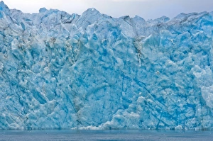 Images Dated 7th August 2010: USA, Pacific Northwest, Alaska, Glacier Bay National Park. McBride Glacier