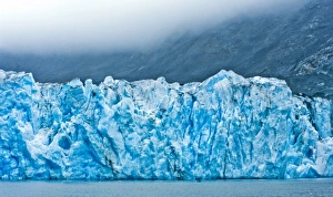 Images Dated 7th August 2010: USA, Pacific Northwest, Alaska, Glacier Bay National Park. McBride Glacier