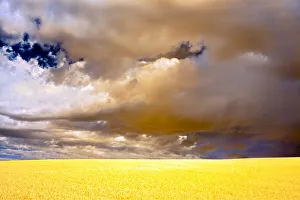 Images Dated 27th October 2021: USA, Palouse abstract