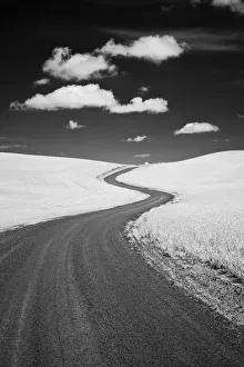 Images Dated 6th May 2021: USA, Palouse Country, Washington State, Infrared Palouse fields and backroad