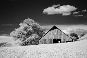 Images Dated 10th June 2021: USA, Palouse Country, Washington State, Infrared Palouse fields and barn