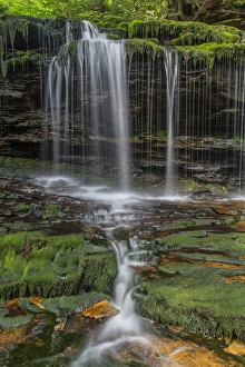 Images Dated 26th July 2013: USA, Pennsylvania, Benton. Delicate waterfall in Ricketts Glen State Park. Credit as