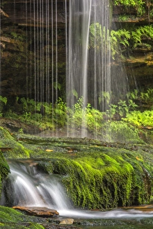 Ledge Prints: USA, Pennsylvania, Benton. Delicate waterfall in Ricketts Glen State Park. Credit as