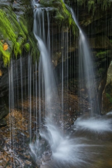 Images Dated 26th July 2013: USA, Pennsylvania, Benton. Delicate waterfall in Ricketts Glen State Park. Credit as