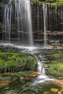 Images Dated 26th July 2013: USA, Pennsylvania, Benton. Delicate waterfall in Ricketts Glen State Park. Credit as