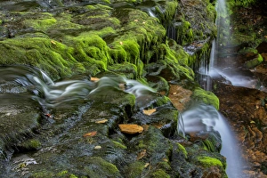 Images Dated 26th July 2013: USA, Pennsylvania, Benton, Ricketts Glen State Park. Flowing stream from waterfall