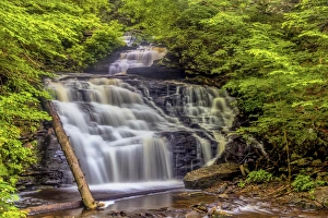 Images Dated 16th July 2015: USA, Pennsylvania, Benton, Ricketts Glen State Park. Mohican Falls cascade. Credit as