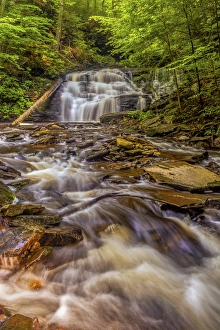 Images Dated 16th July 2015: USA, Pennsylvania, Benton, Ricketts Glen State Park. Mohican Falls cascade. Credit as