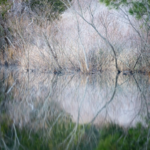 Pennsylvania Prints: USA, Pennsylvania, Delaware Water Gap