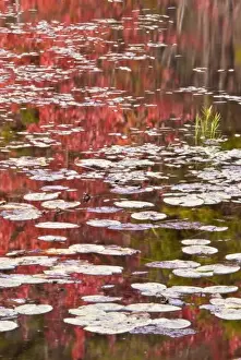 Images Dated 21st September 2007: USA, Pennsylvania, Delaware Water Gap National Recreation Area. Autumn reflections