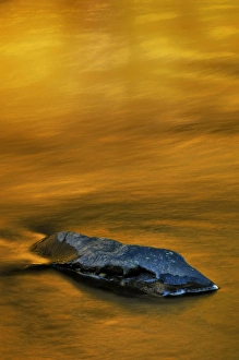Images Dated 8th October 2010: USA, Pennsylvania, Dingmans Ferry