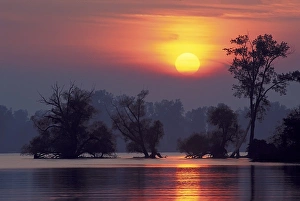 Erie Prints: USA, Pennsylvania, Erie, Presque Isle State Park, Sunset over lake and trees