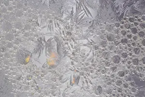 Ellen Anon Prints: USA, Pennsylvania. Frosty window pane and soap bubbles