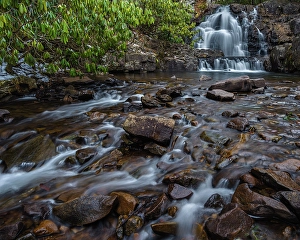 Pennsylvania Prints: USA, Pennsylvania, Hickory Run State Park