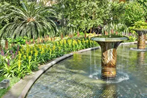 Places Collection: USA, Pennsylvania. Kennett Square, fountain near bromeliads