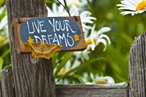 Nancy Rotenberg Prints: USA, Pennsylvania. Moth on garden sign. Credit as: Nancy Rotenberg / Jaynes Gallery