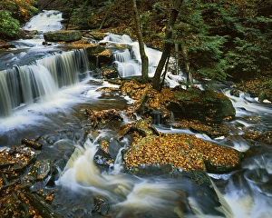 State Park Prints: USA, Pennsylvania, Ricketts Glen State Park, Allegheny Mountains, Kitchen Creek, waterfall