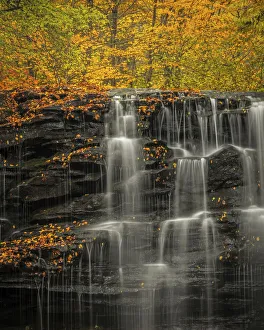 Images Dated 26th May 2021: USA, Pennsylvania, Ricketts Glen State Park. Autumn forest