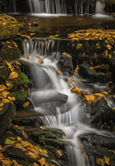 USA, Pennsylvania, Ricketts Glen State Park. Waterfalls cascade over rocks